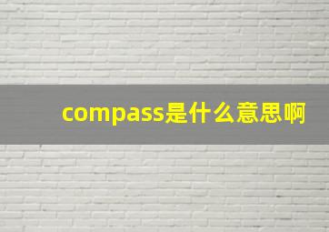 compass是什么意思啊