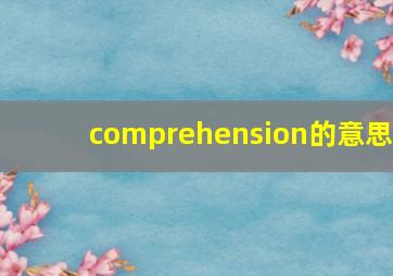 comprehension的意思