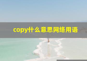 copy什么意思网络用语