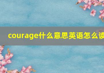 courage什么意思英语怎么读