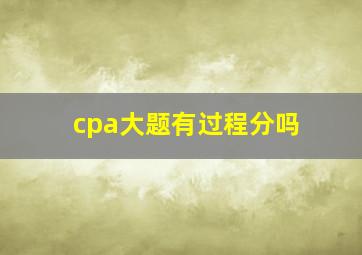 cpa大题有过程分吗