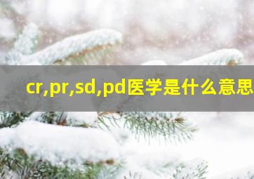 cr,pr,sd,pd医学是什么意思