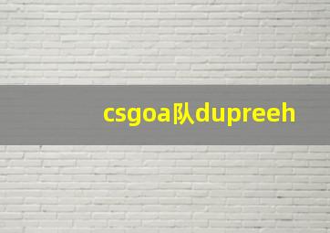 csgoa队dupreeh