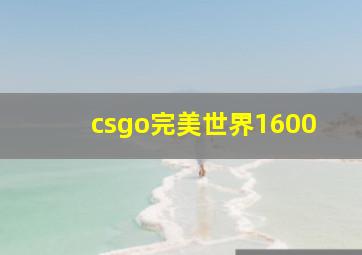 csgo完美世界1600