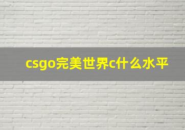 csgo完美世界c什么水平