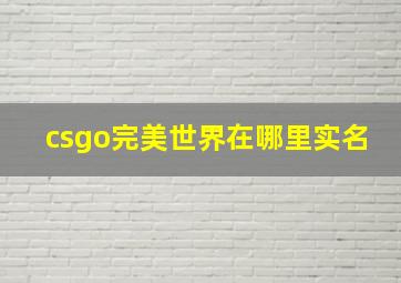 csgo完美世界在哪里实名