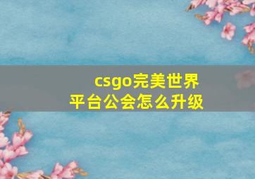 csgo完美世界平台公会怎么升级