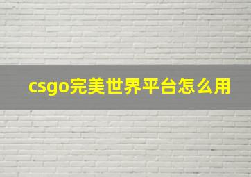 csgo完美世界平台怎么用