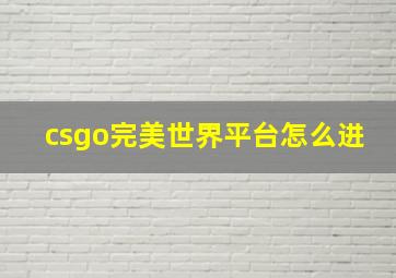 csgo完美世界平台怎么进