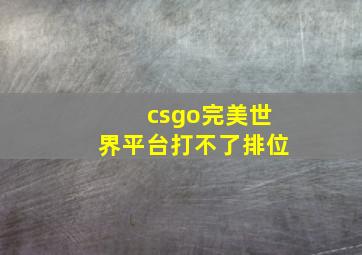 csgo完美世界平台打不了排位