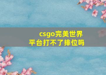 csgo完美世界平台打不了排位吗