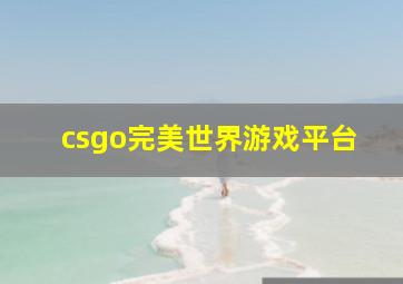 csgo完美世界游戏平台