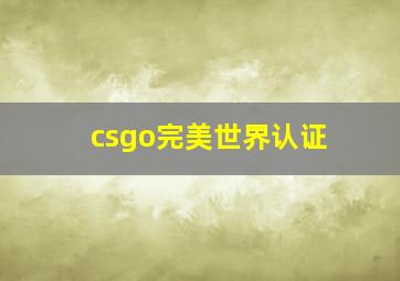 csgo完美世界认证