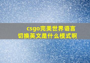 csgo完美世界语言切换英文是什么模式啊