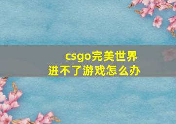 csgo完美世界进不了游戏怎么办