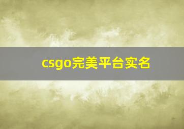 csgo完美平台实名