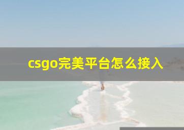 csgo完美平台怎么接入