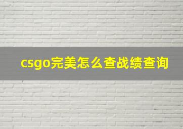 csgo完美怎么查战绩查询