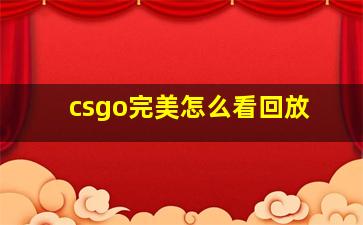 csgo完美怎么看回放