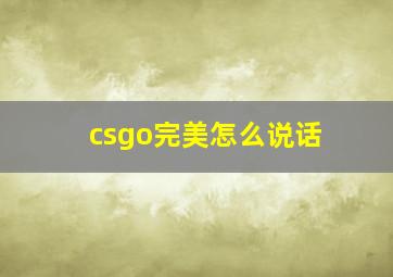 csgo完美怎么说话