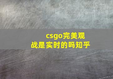 csgo完美观战是实时的吗知乎