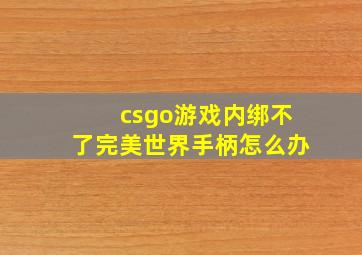 csgo游戏内绑不了完美世界手柄怎么办