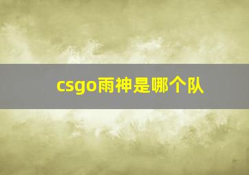 csgo雨神是哪个队