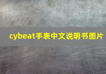 cybeat手表中文说明书图片