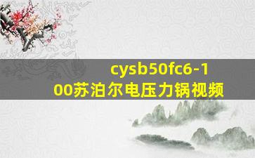 cysb50fc6-100苏泊尔电压力锅视频