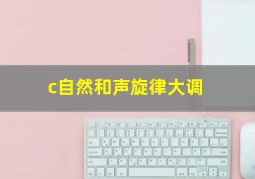 c自然和声旋律大调