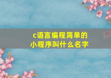 c语言编程简单的小程序叫什么名字