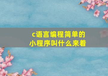 c语言编程简单的小程序叫什么来着