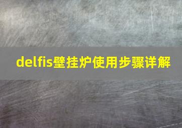 delfis壁挂炉使用步骤详解