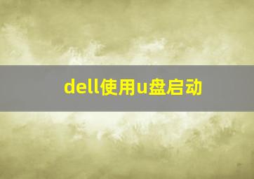 dell使用u盘启动