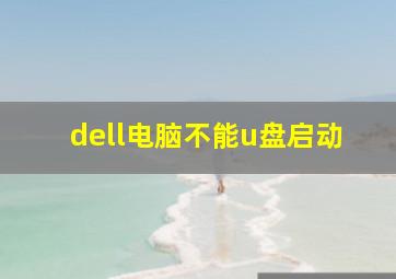 dell电脑不能u盘启动