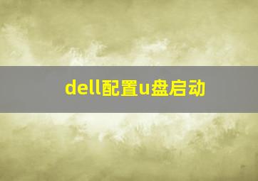 dell配置u盘启动