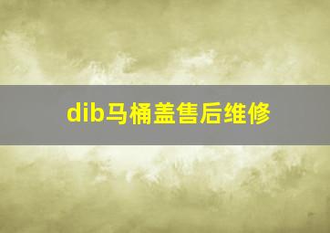 dib马桶盖售后维修