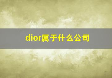 dior属于什么公司