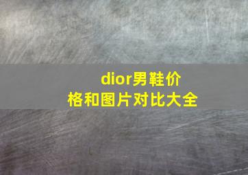 dior男鞋价格和图片对比大全