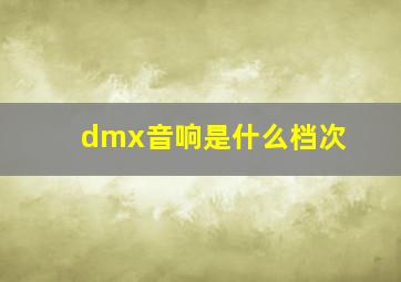 dmx音响是什么档次