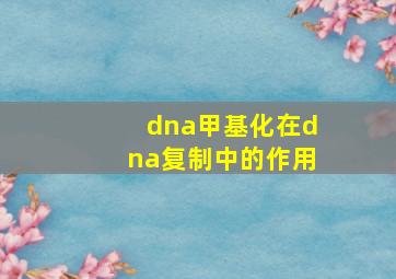 dna甲基化在dna复制中的作用