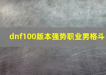 dnf100版本强势职业男格斗