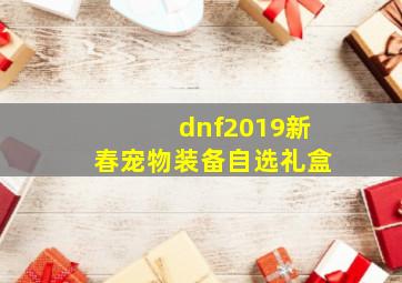 dnf2019新春宠物装备自选礼盒