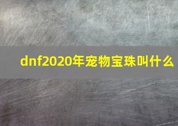 dnf2020年宠物宝珠叫什么