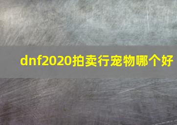 dnf2020拍卖行宠物哪个好