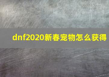 dnf2020新春宠物怎么获得