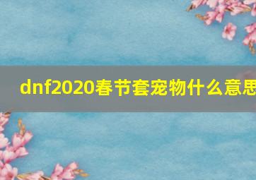 dnf2020春节套宠物什么意思