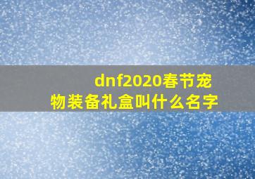 dnf2020春节宠物装备礼盒叫什么名字