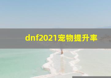 dnf2021宠物提升率