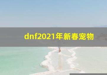 dnf2021年新春宠物